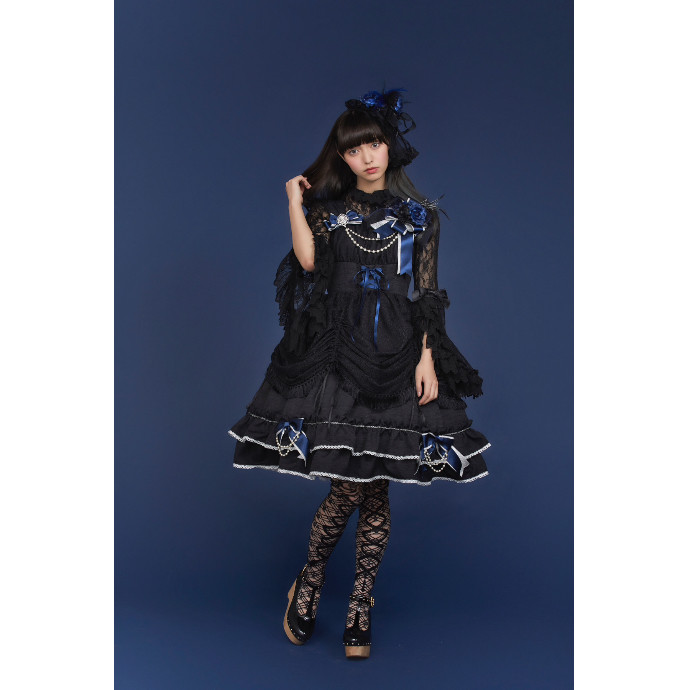 ALICE and the PIRATES